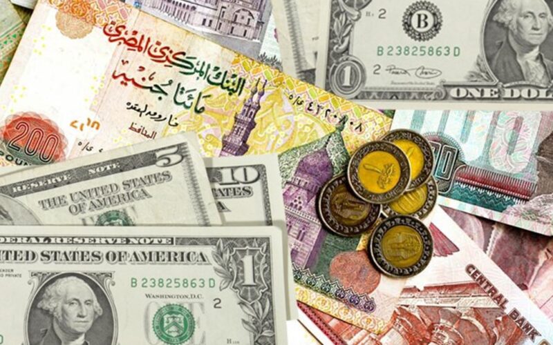 سعر الدولار مقابل الجنيه المصرى اليوم